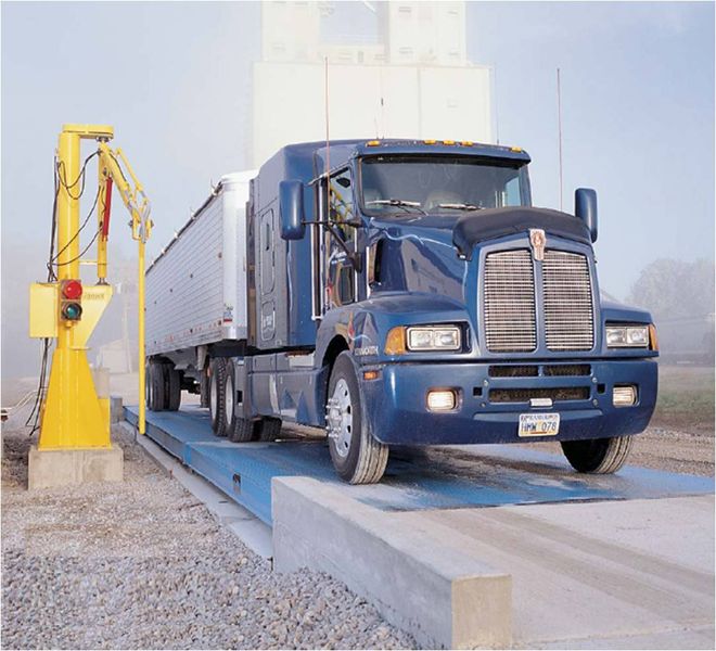 物流总重量的定义和重要性 雷竞技是干啥的